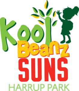 sponsor-logo